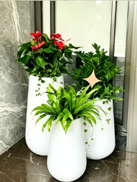 北仑花木租摆交易-奉化绿化养护修剪师-北仑绿色植物租用费用-慈溪花木租摆租金